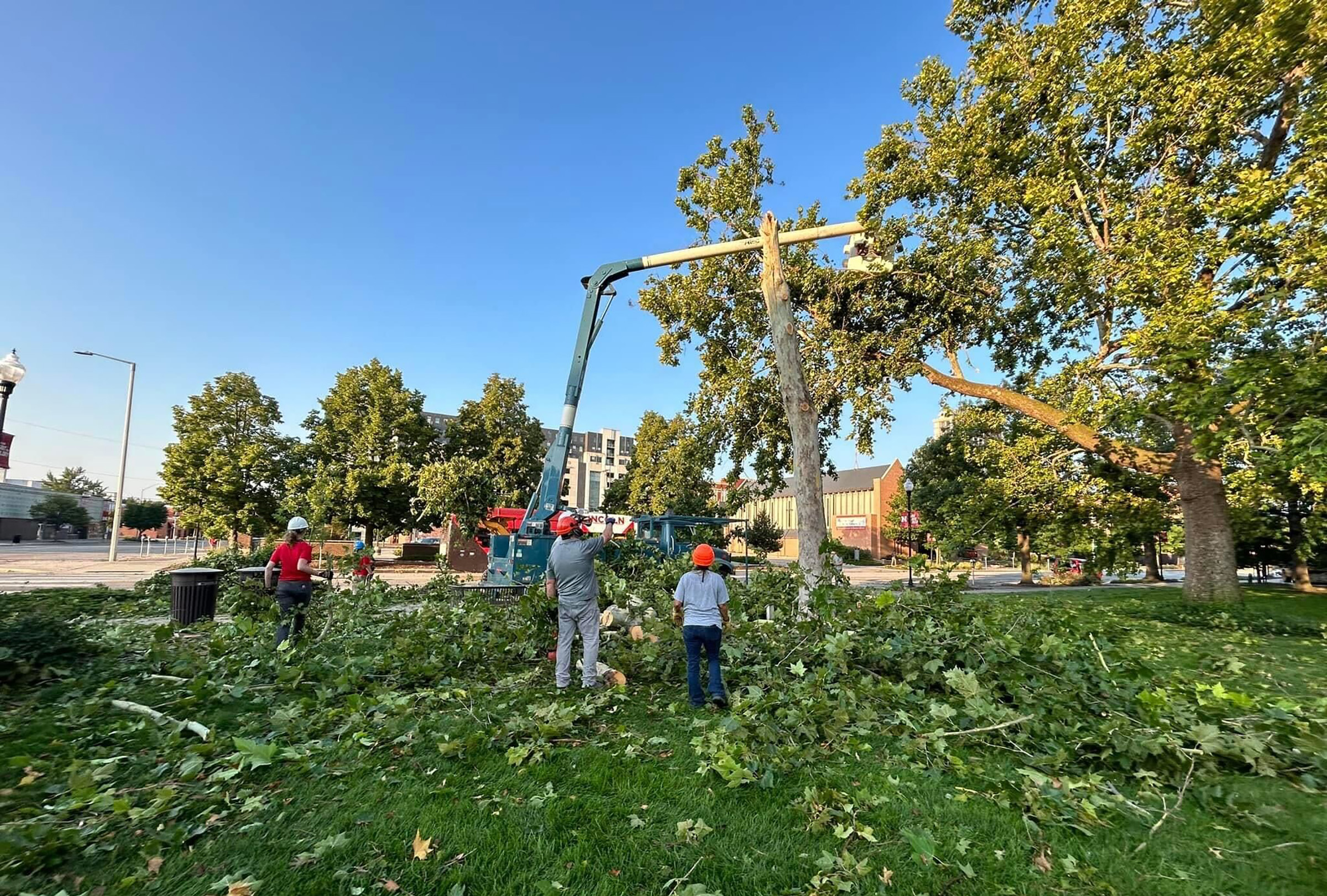 Crews work to remove a downed tree outside Canfield Administration Building Aug. 1.