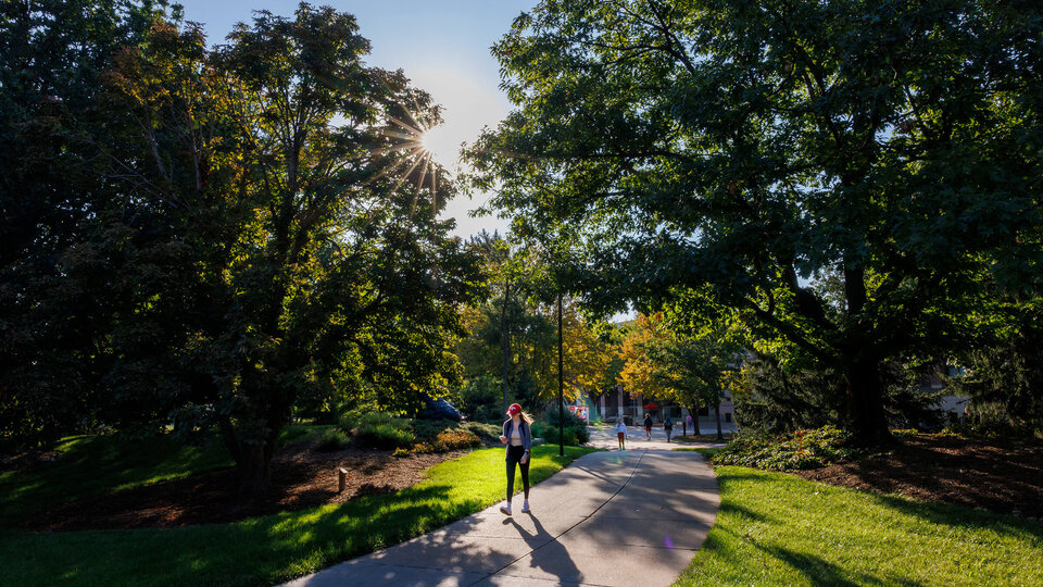 Person walking across campus in summer with sun in background