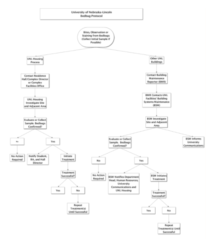 bed bug response